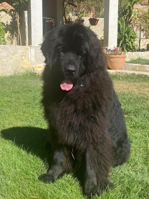 304318032 1890429901288534 5912849758205038518 n