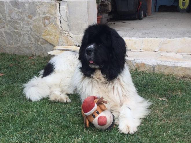 304365921 1143318603197595 4521604600206867407 n