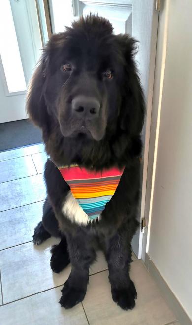 Sayko page d acceuil